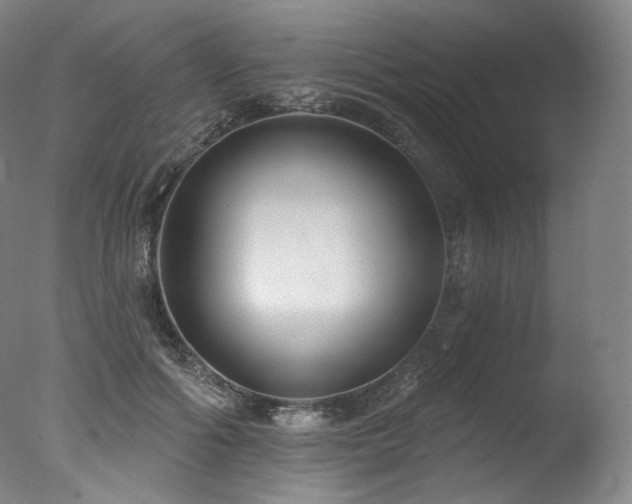 X0000077370602200610201350