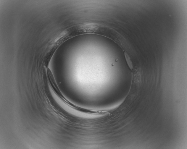 X0000077370604200610201350