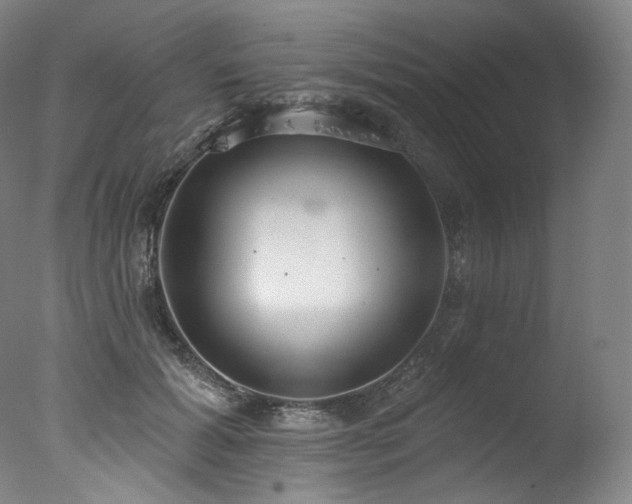 X0000077370605200610201350