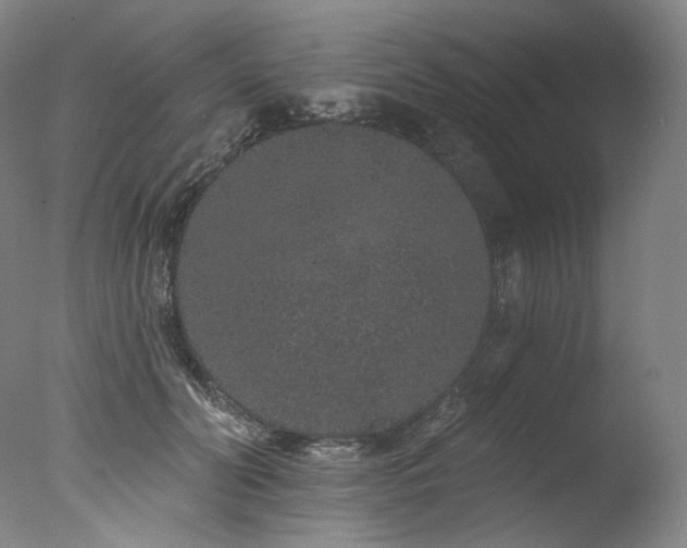 X0000077370606200610201350