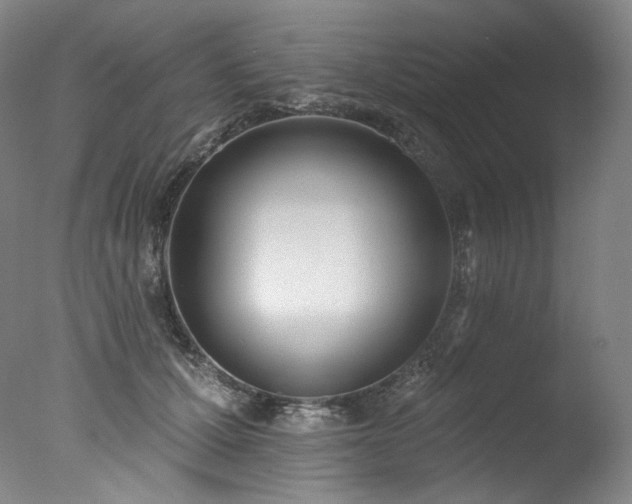 X0000077370607200610201350