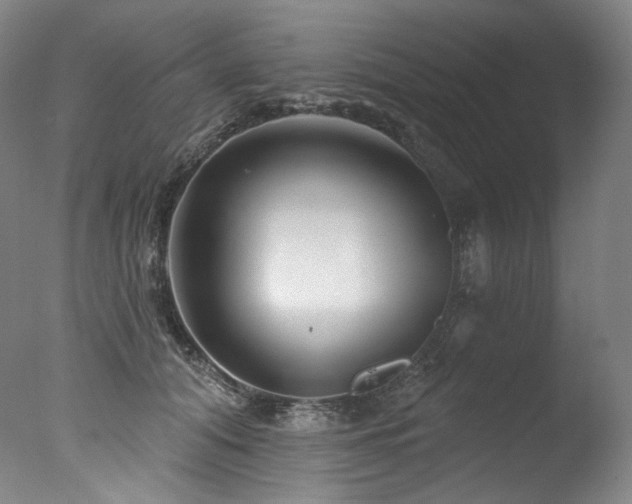 X0000077370608200610201350