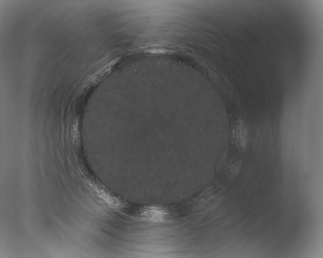 X0000077370610200610201350