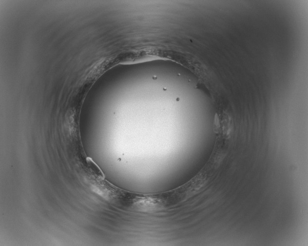 X0000077370611200610201350