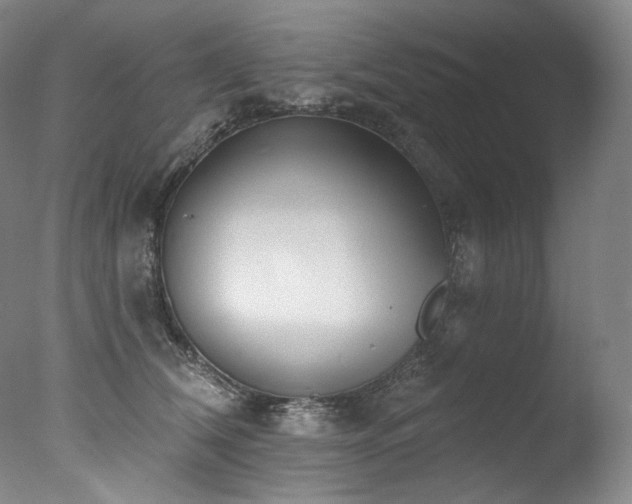 X0000077370612200610201350