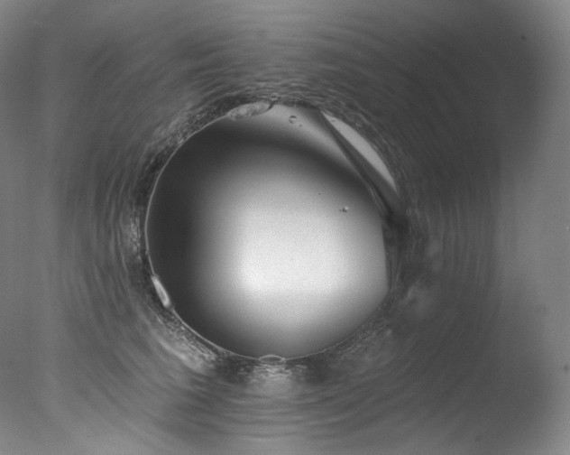 X0000077370613200610201350