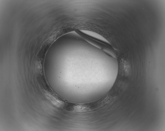 X0000077370614200610201350