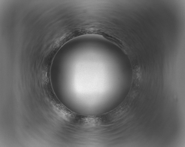 X0000077370615200610201350