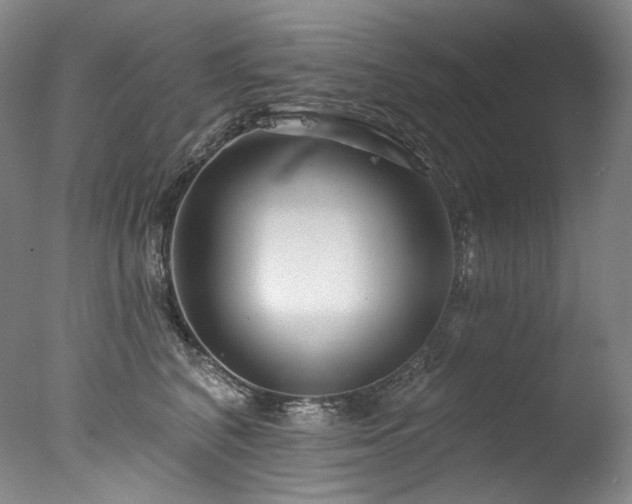 X0000077370616200610201350