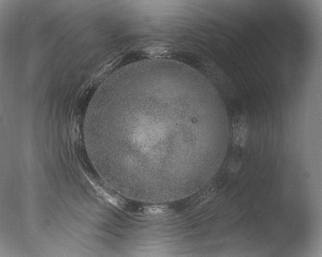 X0000077370618200610201350