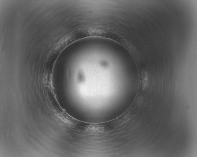 X0000077370619200610201350