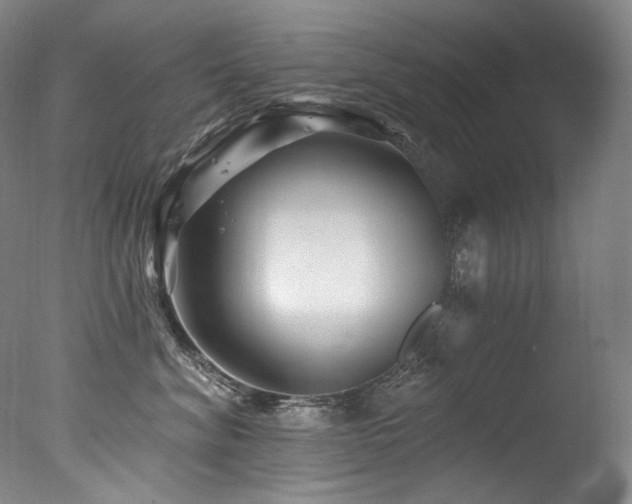 X0000077370620200610201350