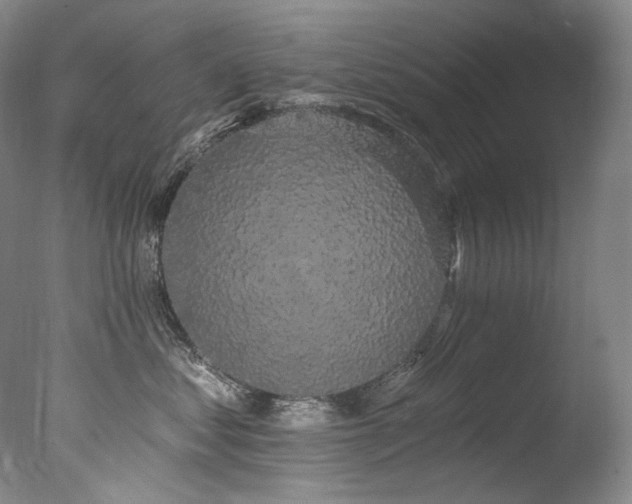 X0000077370621200610201350