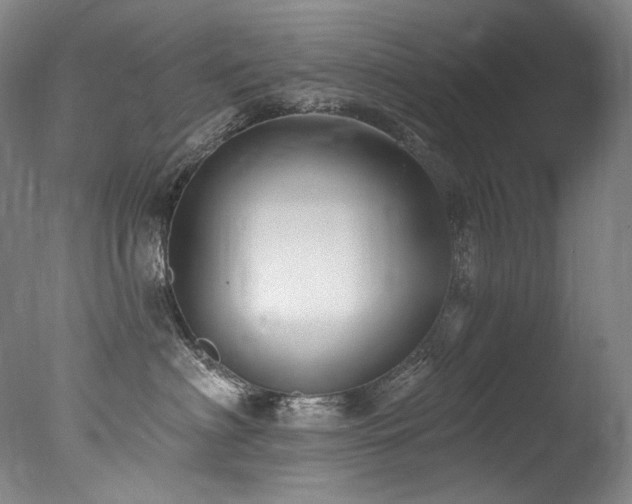 X0000077370622200610201350