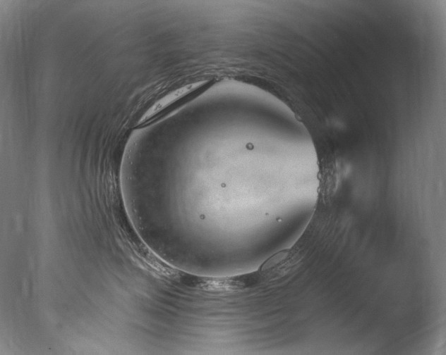 X0000077370623200610201350