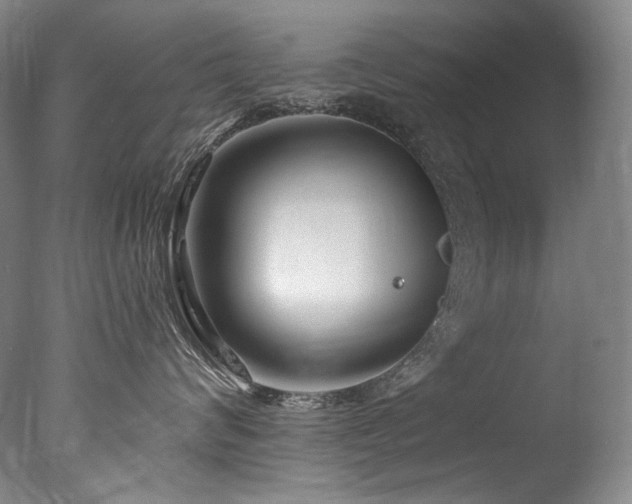 X0000077370624200610201350