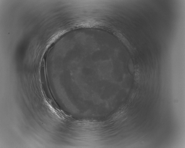 X0000077370626200610201349