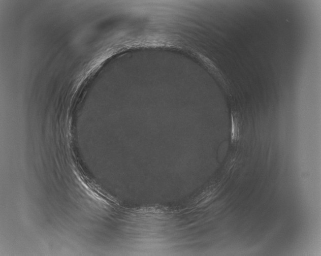 X0000077370627200610201349