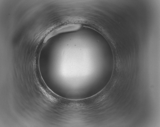 X0000077370629200610201349