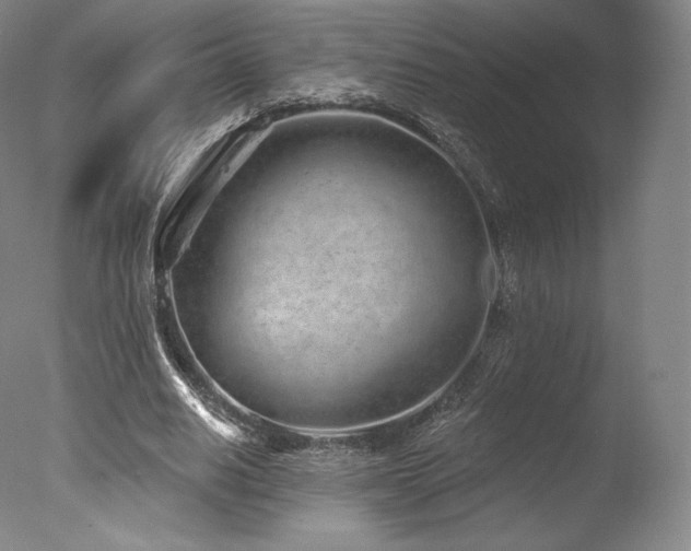 X0000077370630200610201349