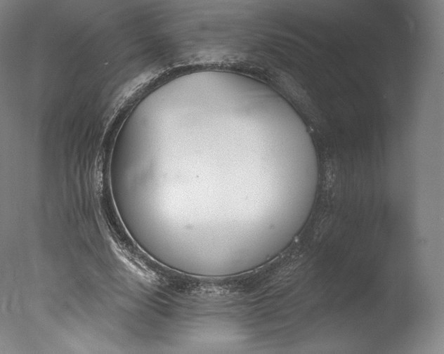 X0000077370632200610201349