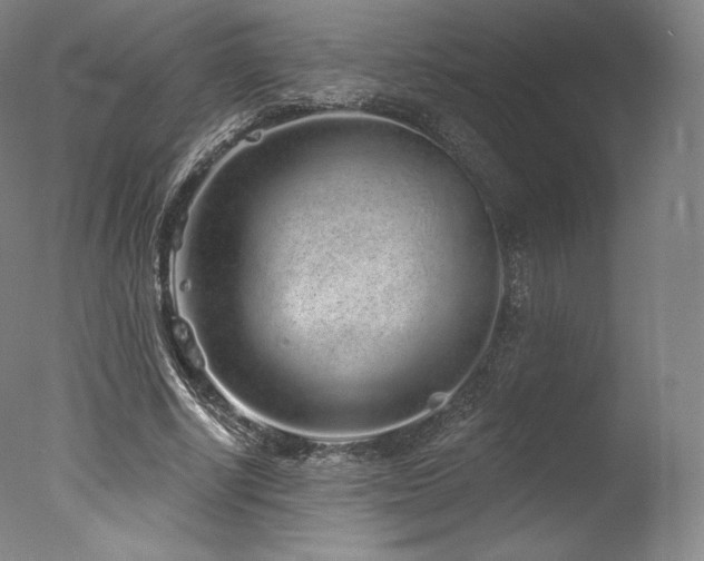 X0000077370634200610201349