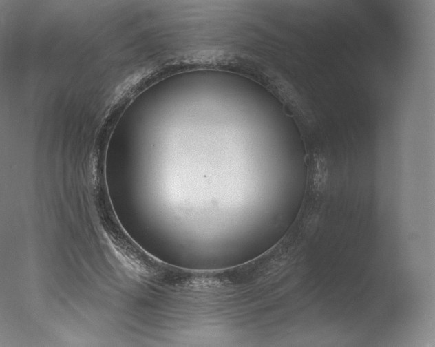 X0000077370636200610201349