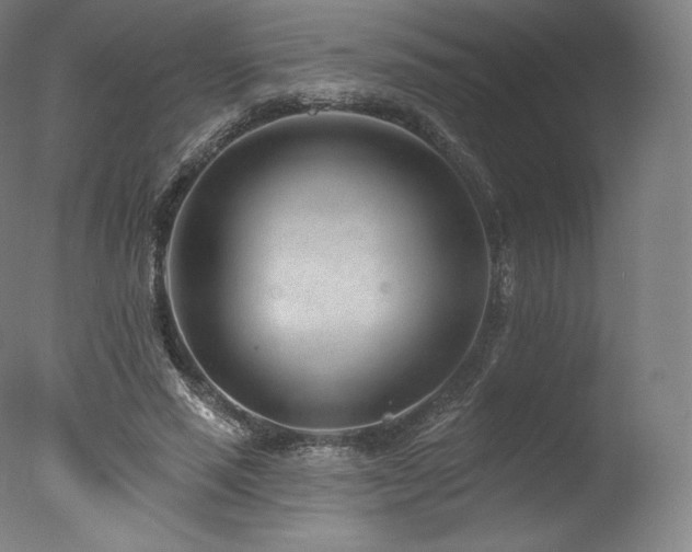 X0000077370637200610201349