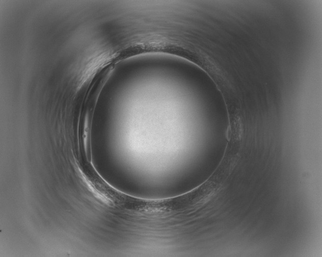 X0000077370638200610201349