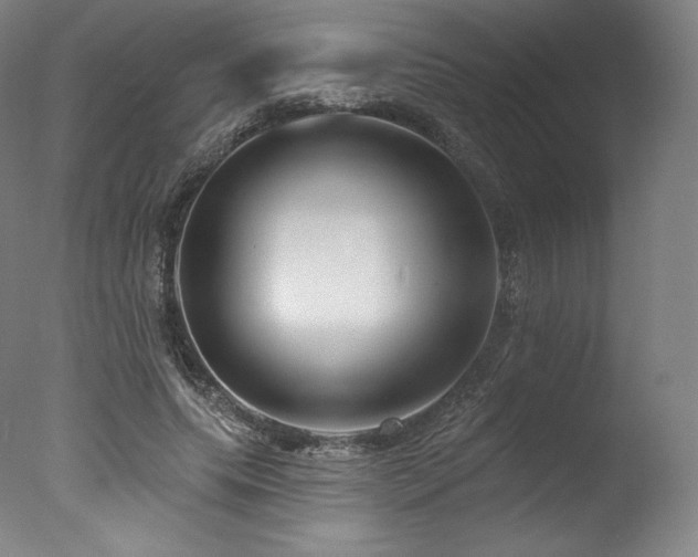 X0000077370639200610201349