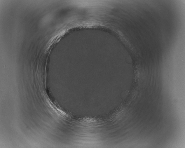 X0000077370640200610201350