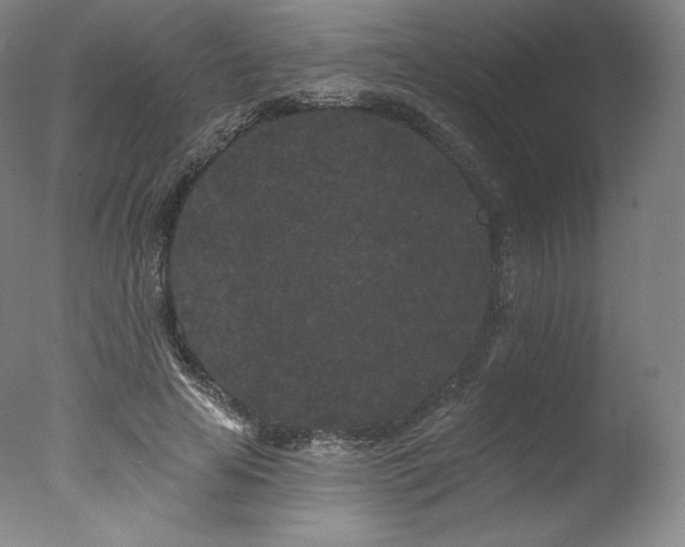 X0000077370641200610201350