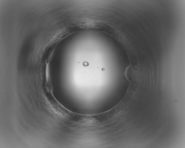 X0000077370642200610201350