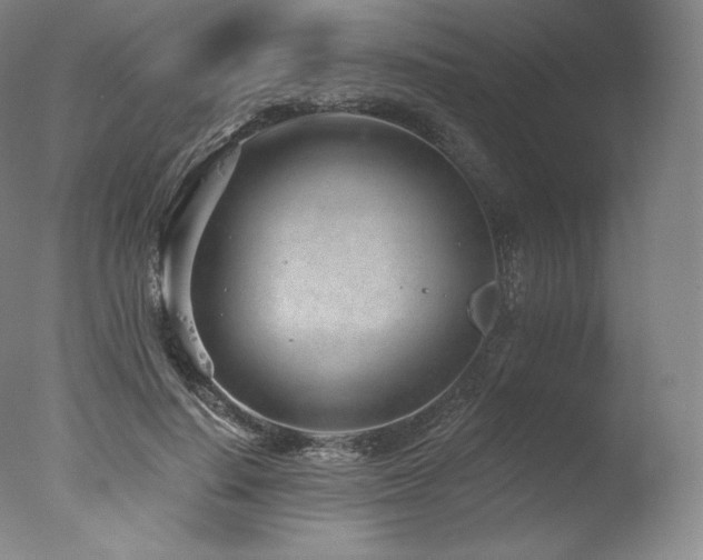 X0000077370644200610201350