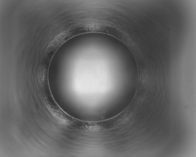 X0000077370645200610201350