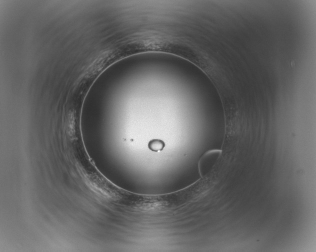 X0000077370646200610201350