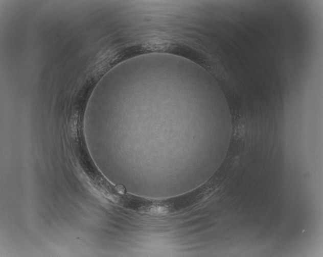 X0000077370647200610201350