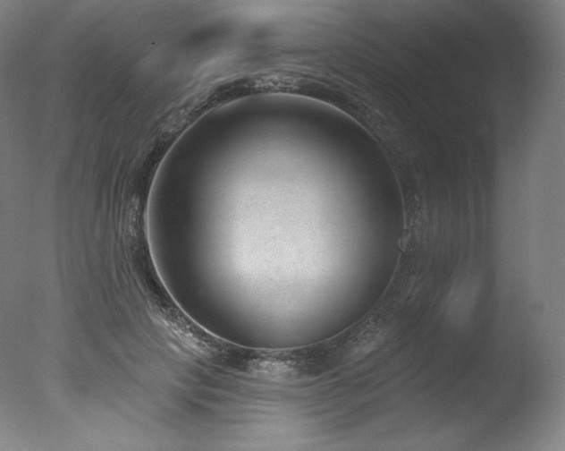 X0000077370649200610201350