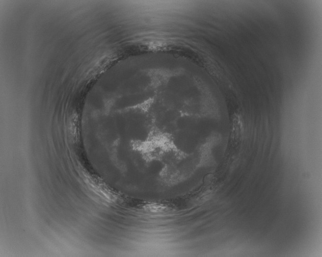 X0000077370650200610201350