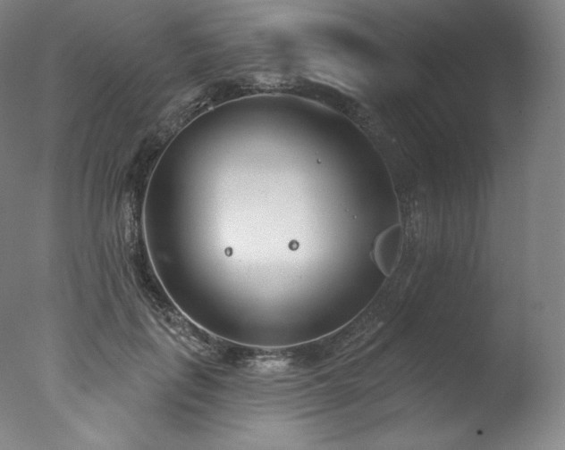 X0000077370651200610201350