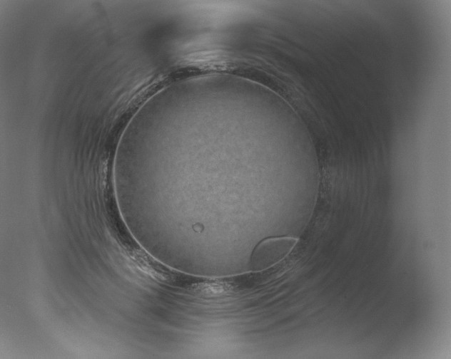 X0000077370652200610201350