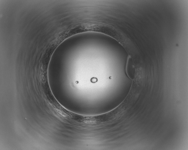 X0000077370653200610201350