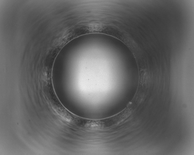 X0000077370655200610201350