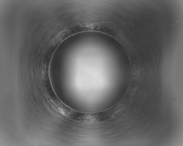 X0000077370656200610201350