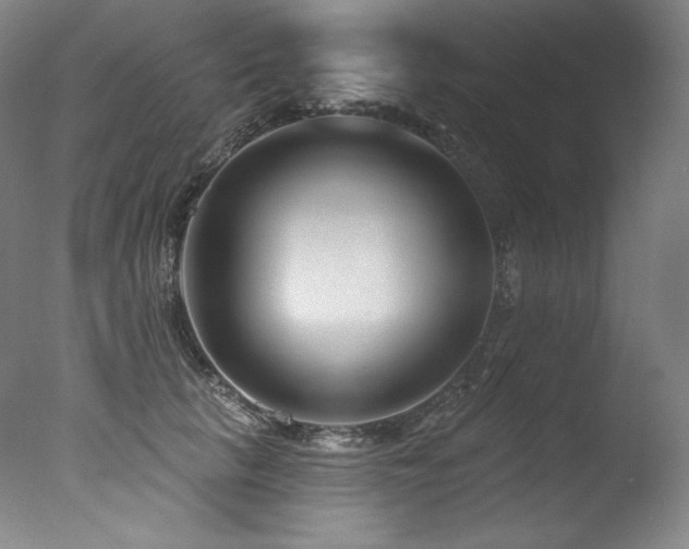 X0000077370657200610201350