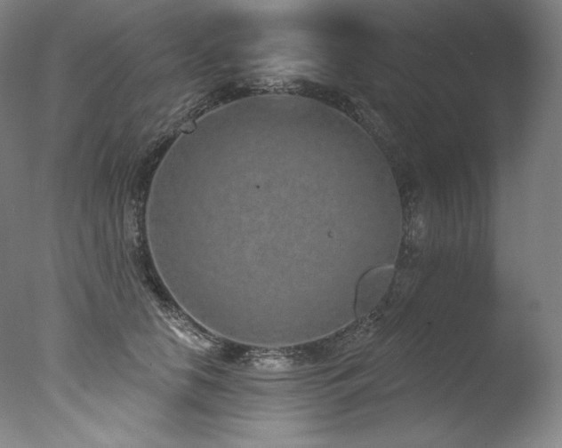 X0000077370658200610201350