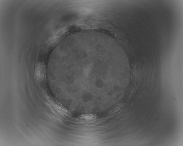 X0000077370659200610201350