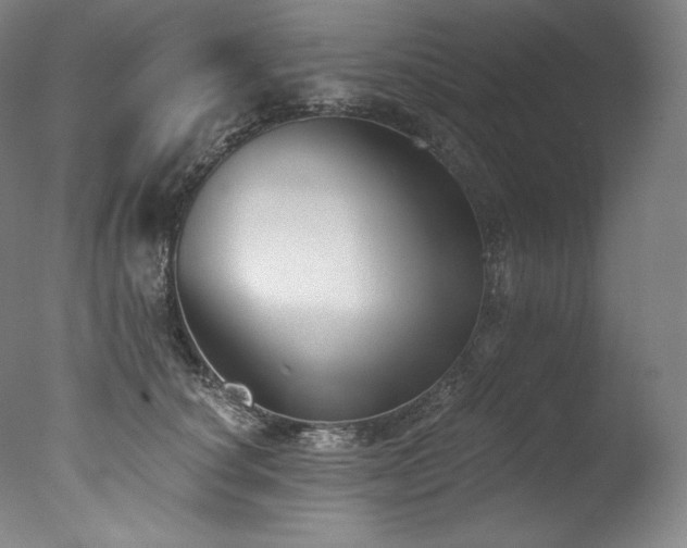 X0000077370660200610201350