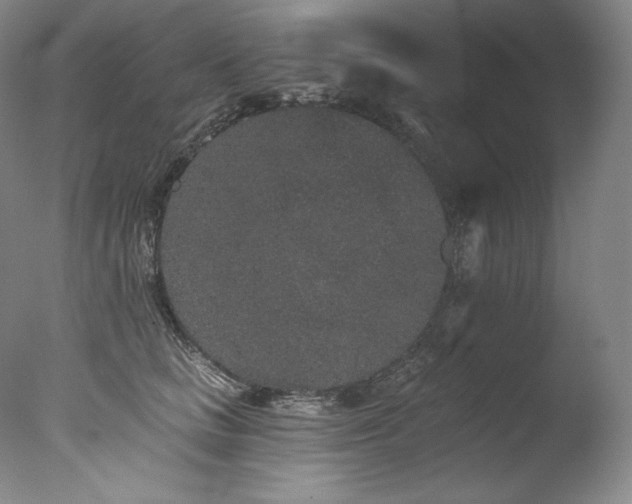 X0000077370661200610201350