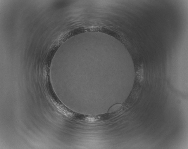 X0000077370662200610201350